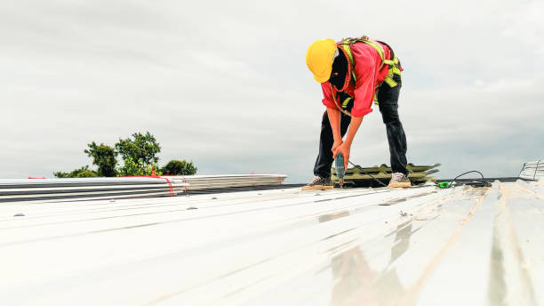 Best Roof Moss and Algae Removal  in Lawrenceburg, KY